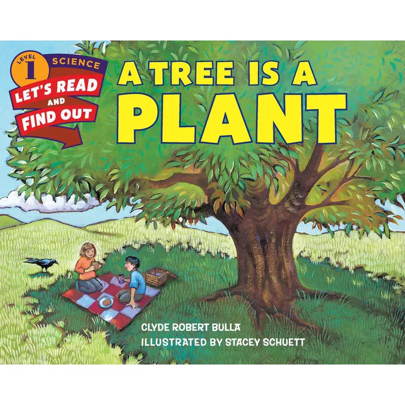 A Tree Is A Plant – Botany Introduction For Young Learners 1