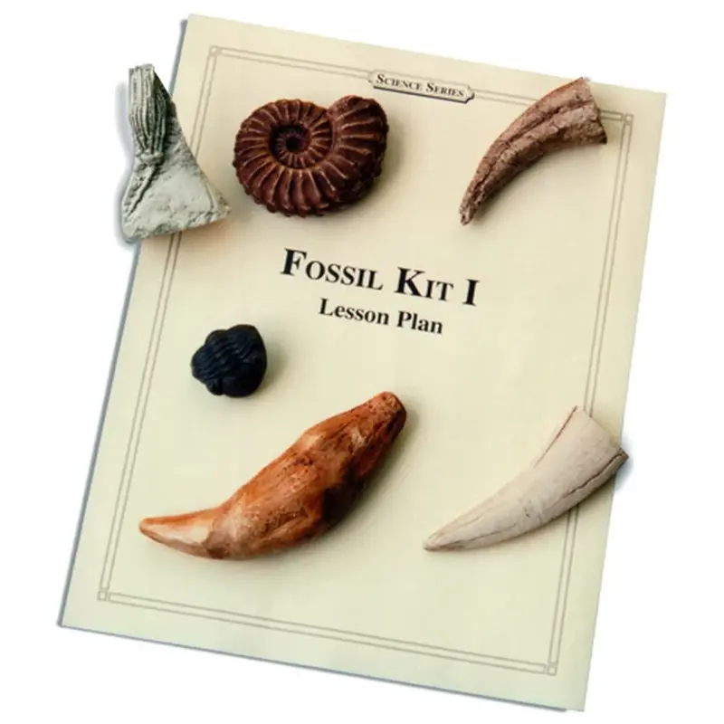 Advanced Fossil Cast Education Kit – Cave Bear, Trilobite, Ammonite, Sabertooth, Dino Claw & Crinoid 1