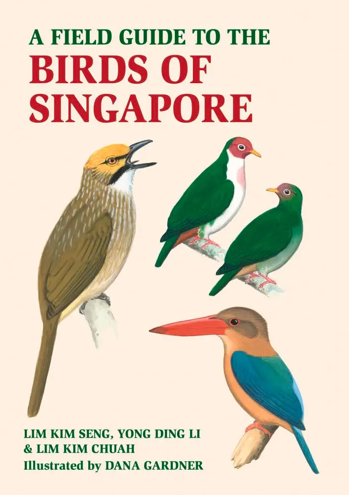 Birdwatching In Singapore: A Comprehensive Field Guide 1