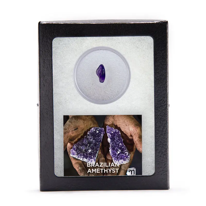 Brazilian Amethyst Geode Fragment In Riker Display Case 1