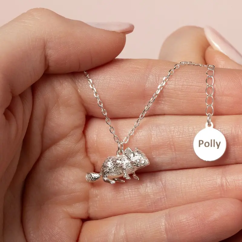 Chinchilla Silver Necklace – Whimsical Personalised Pendant 1
