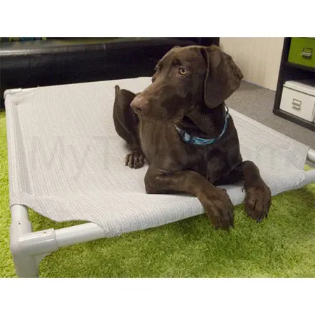 Coolaroo Aluminum-Frame Outdoor Dog Bed – Small Size (27.5" × 22") With Birch Cover – Bulk Clearance: 15 Units, 50% Off 1