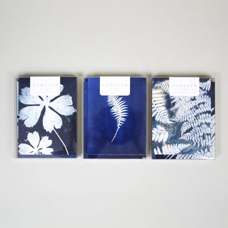 Cyanotype Botanical Greeting Card Set 1