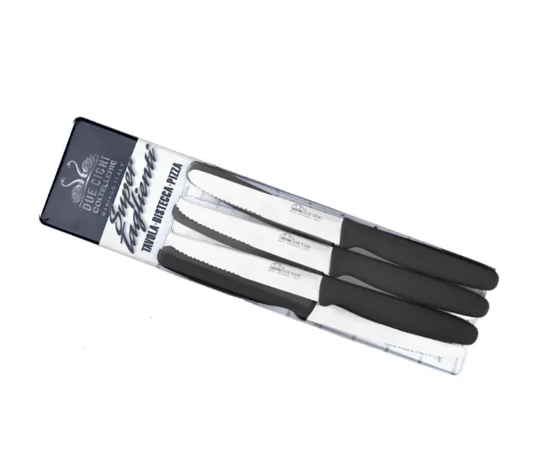 Due Cigni Premium 6-Piece Stainless Steel Table Knife Set 1