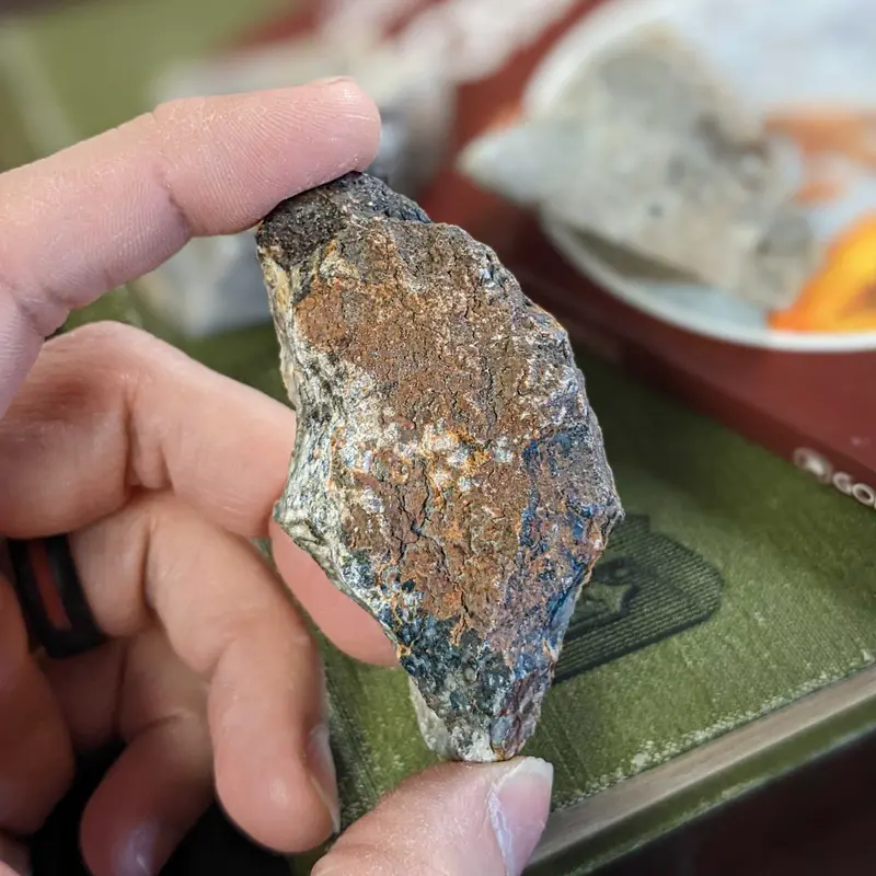 Fossilized Dinosaur Dung (Coprolite) Display Specimen 1