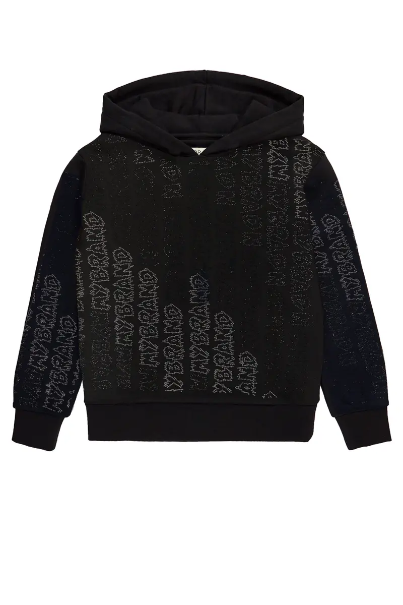 Graphite Capsule Hoodie In Sleek Black 1