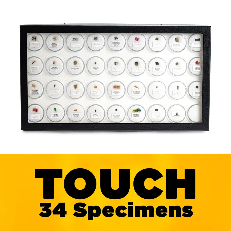 Mini Museum Fifth Edition: Touch Edition (34 Specimens) 1