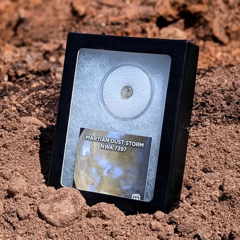 Northwest Africa 7397 Martian Meteorite – Dust Storm Specimen 1