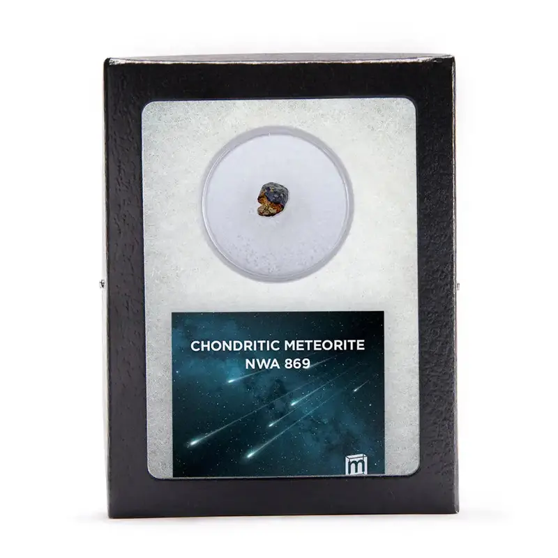 Nwa 869 Chondrite Meteorite – Pristine Stony Space Rock Sample 1
