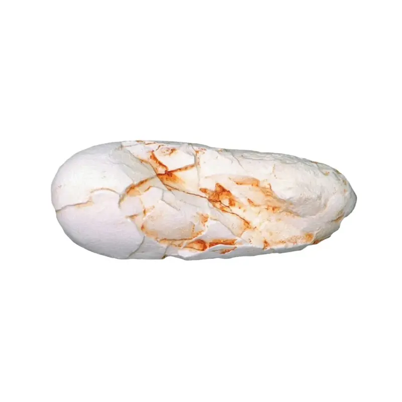 Oviraptor Egg Replica — Ornithomimosaur Nesting Fossil Cast 1