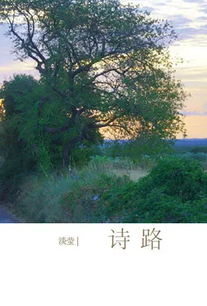 Poetic Pathways – Tan Mei – Isbn 9789832453574 – Southern University College Press 1