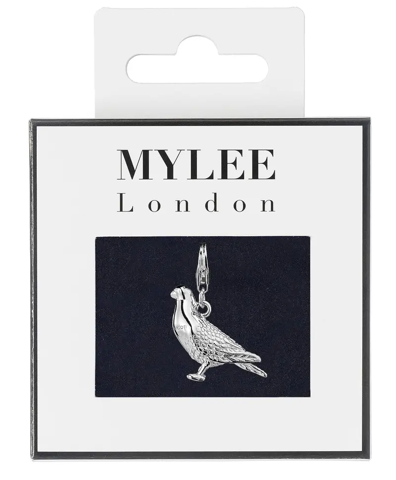 Racing Pigeon Charm – Silver-Plated Pet Memorial Accent 1