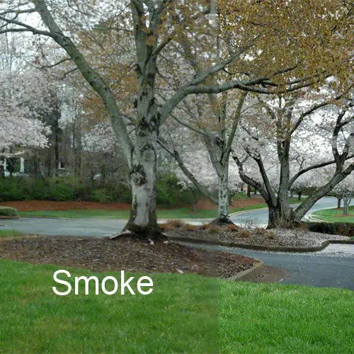 Smoke-Tinted Clear Vinyl – 19 Mil, 54-Inch Width, Per Yard 1