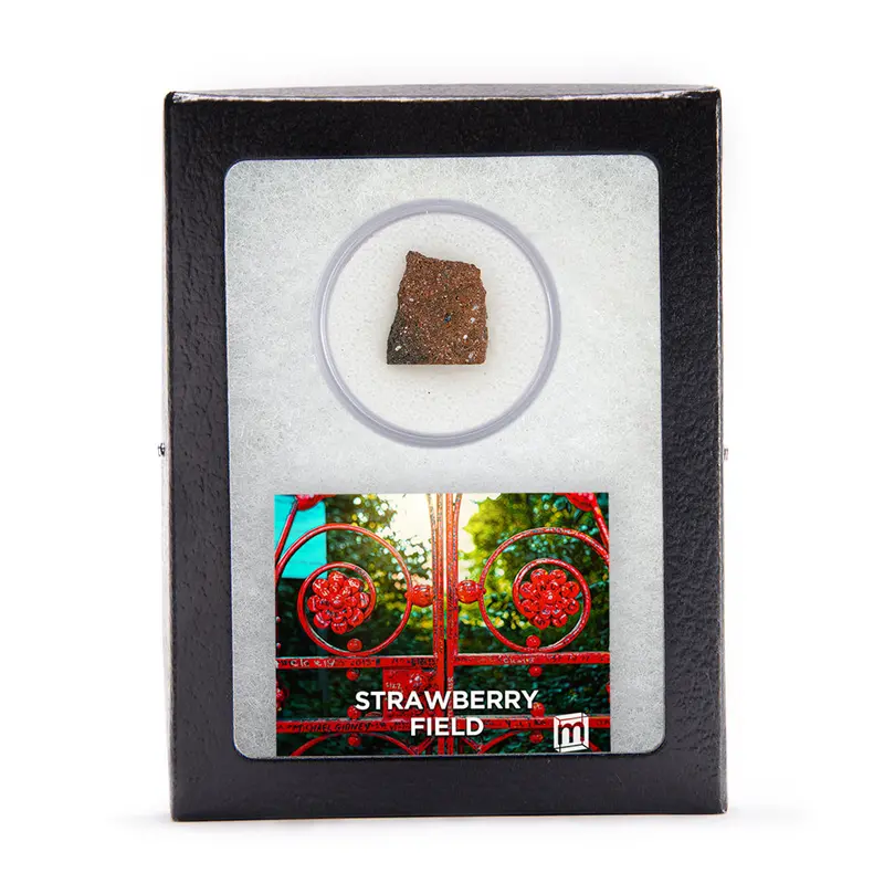 Strawberry Field Beatles Brick Fragment Collectible 1