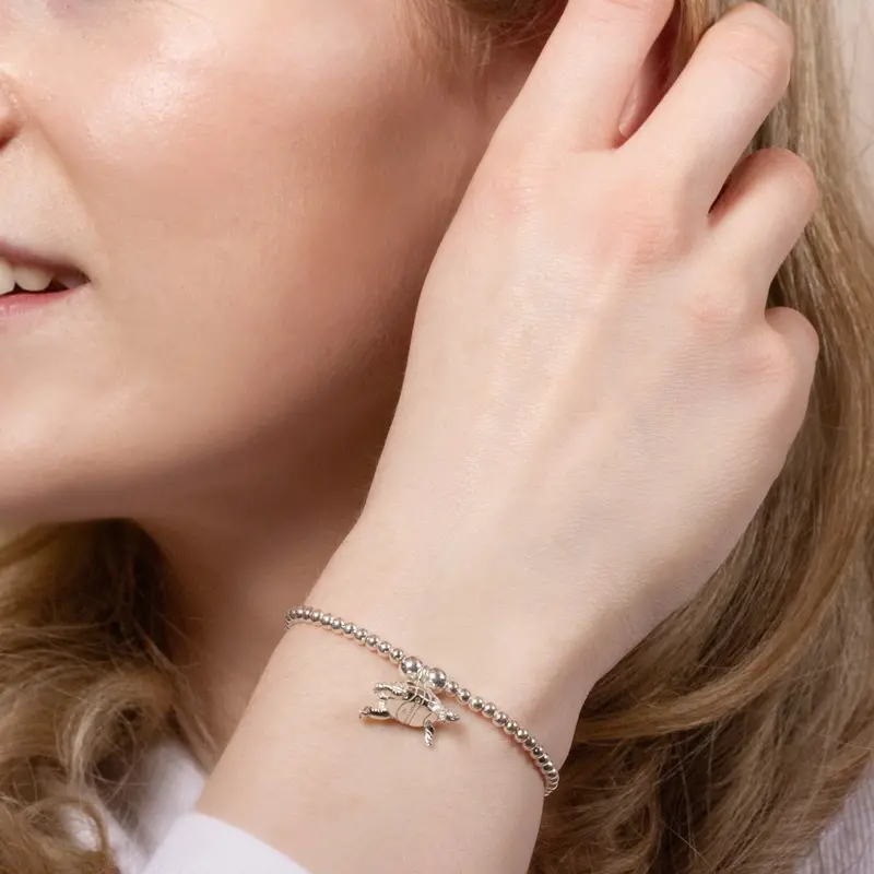 Tortoise Silver Charm Bracelet 1