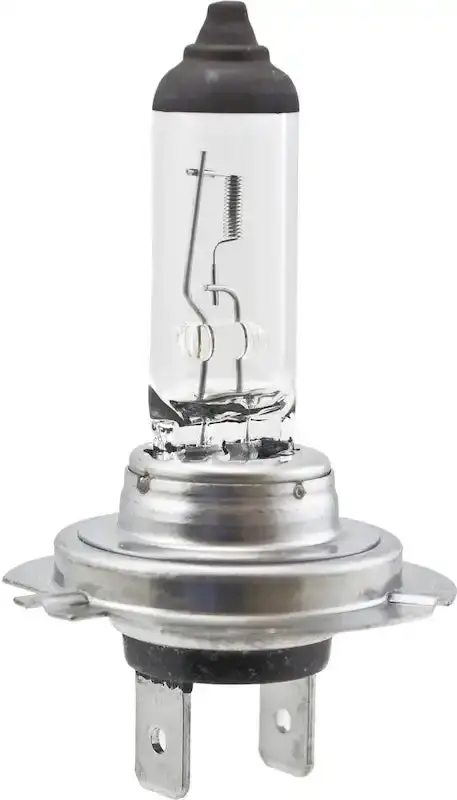 Hella H7 Halogen Bulb – 100W High-Output Replacement Lamp 1